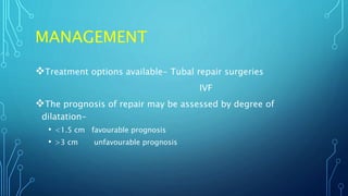 MANAGEMENT
Treatment options available- Tubal repair surgeries
IVF
The prognosis of repair may be assessed by degree of
dilatation-
• <1.5 cm favourable prognosis
• >3 cm unfavourable prognosis
 