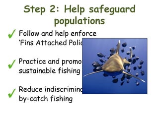 Step 2: Help safeguard
populations
Follow and help enforce
‘Fins Attached Policy’
Practice and promote
sustainable fishing
Reduce indiscriminate
by-catch fishing

 