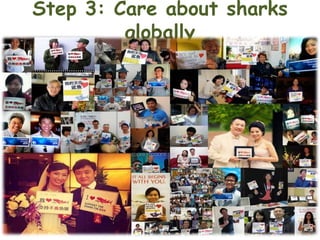 Step 3: Care about sharks
globally

 