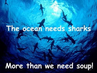 The ocean needs sharks

More than we need soup!
14

 