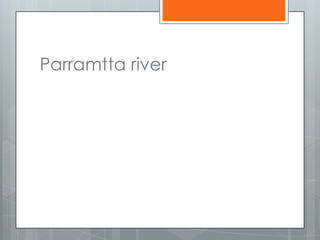 Parramtta river
 