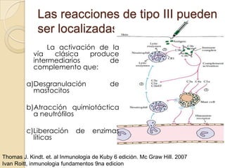 Las reacciones de tipo III pueden
             ser localizadas
                 La activación de la
            vía    clásica   produce
            intermediarios        de
            complemento que:

         a)Desgranulación                 de
           mastocitos

         b)Atracción quimiotáctica
           a neutrófilos

         c)Liberación        de    enzimas
           líticas

Thomas J. Kindt. et. al Inmunologia de Kuby 6 edición. Mc Graw Hill. 2007
Ivan Roitt, inmunologia fundamentos 9na edicion
 