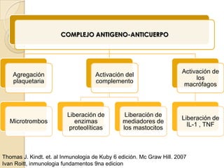 COMPLEJO ANTIGENO-ANTICUERPO




                                                                       Activación de
    Agregación                      Activación del
                                                                            los
    plaquetaria                     complemento
                                                                        macrófagos



                         Liberación de          Liberación de
                                                                       Liberación de
  Microtrombos              enzimas            mediadores de
                                                                         IL-1 , TNF
                          proteolíticas        los mastocitos



Thomas J. Kindt. et. al Inmunologia de Kuby 6 edición. Mc Graw Hill. 2007
Ivan Roitt, inmunologia fundamentos 9na edicion
 