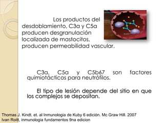Los productos del
          desdoblamiento, C3a y C5a
          producen desgranulación
          localizada de mastocitos,
          producen permeabilidad vascular.



                C3a, C5a y C5b67 son                                 factores
             quimiotácticos para neutrófilos.

                 El tipo de lesión depende del sitio en que
             los complejos se depositan.


Thomas J. Kindt. et. al Inmunologia de Kuby 6 edición. Mc Graw Hill. 2007
Ivan Roitt, inmunologia fundamentos 9na edicion
 