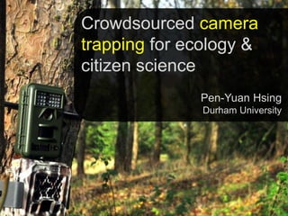 Crowdsourced camera
trapping for ecology &
citizen science
Pen-Yuan Hsing
Durham University
 