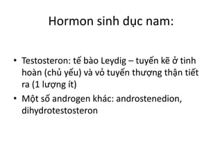 Hormon sinh dục nam: 
• Testosteron: tế bào Leydig – tuyến kẽ ở tinh 
hoàn (chủ yếu) và vỏ tuyến thượng thận tiết 
ra (1 lượng ít) 
• Một số androgen khác: androstenedion, 
dihydrotestosteron 
 