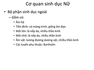 Cơ quan sinh dục Nữ 
• Bộ phận sinh dục ngoài 
– Gồm có: 
• Âm hộ 
• Tiền đình: có màng trinh, giống âm đạo 
• Môi lớn: là nếp da, nhiều thần kinh 
• Môi nhỏ: là nếp da, nhiều thần kinh 
• Âm vật: tương đương dương vật, nhiều thần kinh 
• Các tuyến phụ thuộc: Bartholin 
 