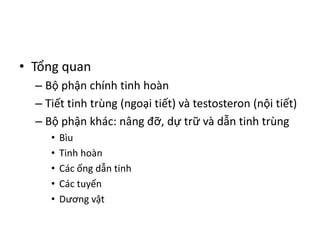 • Tổng quan 
– Bộ phận chính tinh hoàn 
– Tiết tinh trùng (ngoại tiết) và testosteron (nội tiết) 
– Bộ phận khác: nâng đỡ, dự trữ và dẫn tinh trùng 
• Bìu 
• Tinh hoàn 
• Các ống dẫn tinh 
• Các tuyến 
• Dương vật 
 