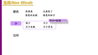 漂亮
这些
生词New Words
很漂亮 太漂亮了
漂亮的衣服 漂亮的杯子
很少 不少
不少衣服 不少学生
不少+名词
少
 