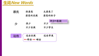漂亮
这些
少
生词New Words
很漂亮 太漂亮了
漂亮的衣服 漂亮的杯子
很少 不少
不少衣服 不少学生
不少+名词
这些衣服 这些苹果
那些 哪些
 