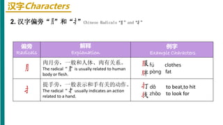 汉字Characters
偏旁
Radicals
解释
Explanation
例字
Example Characters
肉月旁，一般和人体、肉有关系。
The radical“ ”is usually related to human
body or flesh.
fú clothes
pàng fat
提手旁，一般表示和手有关的动作。
The radical“ ”usually indicates an action
related to a hand.
dǎ to beat,to hit
zhǎo to look for
2. 汉字偏旁“ ”和“ ”Chinese Radicals“ ”and“ ”
 