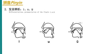 拼音Pinyin
2. 发音辨析：i、u、ü
Differentiation：pronunciation of the finals i,u,ü
i u ü
 