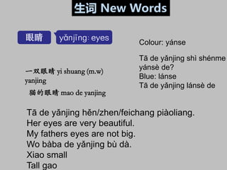 眼睛 yǎnjīng: eyes
一双眼睛 yi shuang (m.w)
yanjing
猫的眼睛 mao de yanjing
生词 New Words
Tā de yǎnjing hěn/zhen/feichang piàoliang.
...