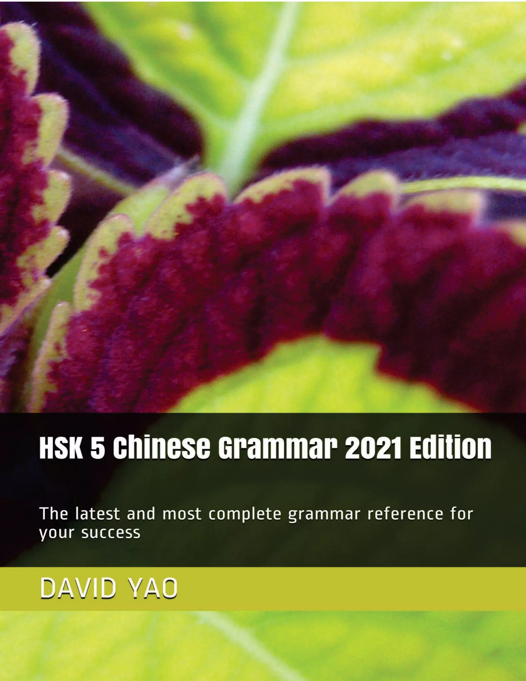 Hsk 5 V2021 Chinese Grammar Sample Pdf Hsk 5 V2021 Chinese Grammar Sample Pdf