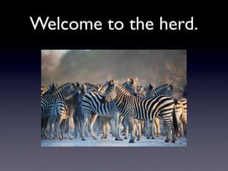Welcome to the herd.
 