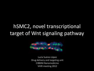 hSMC2, novel transcriptional
target of Wnt signaling pathway


              Lucía Suárez-López
        Drug delivery and targeting unit
            CIBBIM-Nanomedicine
              VHIR meeting 2012
 