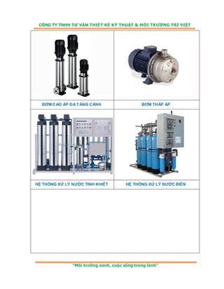 Hsnl tri viet 08 01-2012