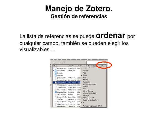 zotero not showing up in word