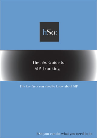 The hSo Guide to
          SIP Trunking



The key facts you need to know about SIP




           hSo:you can do what you need to do
 