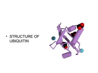 • STRUCTURE OF
  UBIQUITIN
 