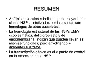RESUMEN
• Análisis moleculares indican que la mayoría de
  clases HSPs sintetizados por las plantas son
  homólogas de otros eucariotes.
• La homología estructural de las HSPs LMW
  citoplasmática, del cloroplasto y de
  endomembrana indican que pueden llevar las
  mismas funciones, pero envolviendo ≠
  diferentes sustratos.
• La transcripción génica es el > punto de control
  en la expresión de la HSP.
 