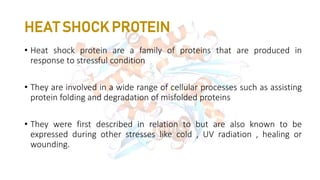 HEAT SHOCK PROTEIN
• Heat shock protein are a family of proteins that are produced in
response to stressful condition
• They are involved in a wide range of cellular processes such as assisting
protein folding and degradation of misfolded proteins
• They were first described in relation to but are also known to be
expressed during other stresses like cold , UV radiation , healing or
wounding.
 