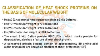 CLASSIFICATION OF HEAT SHOCK PROTEINS ON
THE BASIS OF MOLECULAR WEIGHT
• Hsp60 (Chaperons) = molecular weight is 60 kilo Daltons
• Hsp70=molecular weight is 70 kilo Daltons
• Hsp90=molecular weight is 90 kilo Daltons
• Hsp100=molecular weight is 100 kilo Daltons
• The small 8 kilo Dalton protein UBIQUITIN , which marks protein for
degradation , also has a feature of heat shock protein.
• A conserved protein binding domain of approximately 80 amino-acid
alpha crystalline are known as small heat shock proteins (sHSP)
 