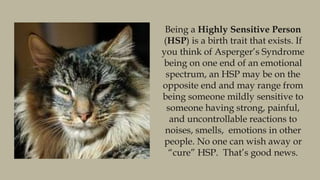 Being a Highly Sensitive Person
(HSP) is a birth trait that exists. If
you think of Asperger’s Syndrome
being on one end o...