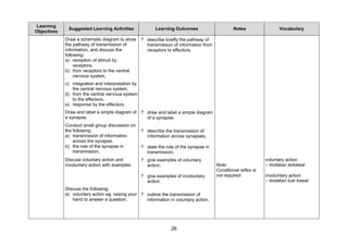 Learning
              Suggested Learning Activities                Learning Outcomes                      Notes                Vocabulary
Objectives
             Draw a schematic diagram to show       ? describe briefly the pathway of
             the pathway of transmission of           transmission of information from
             information, and discuss the             receptors to effectors,
             following:
             a) reception of stimuli by
                  receptors,
             b) from receptors to the central
                  nervous system,
             c) integration and interpretation by
                the central nervous system,
             d) from the central nervous system
                to the effectors,
             e) response by the effectors.
             Draw and label a simple diagram of     ? draw and label a simple diagram
             a synapse,                               of a synapse,
             Conduct small group discussion on
             the following:                         ? describe the transmission of
             a) transmission of information           information across synapses,
                 across the synapse.
             b) the role of the synapse in          ? state the role of the synapse in
                 transmission,                        transmission,
             Discuss voluntary action and           ? give examples of voluntary                                 voluntary action
             involuntary action with examples.        action,                            Note:                   – tindakan terkawal
                                                                                         Conditional reflex is
                                                    ? give examples of involuntary       not required.           involuntary action
                                                      action,                                                    – tindakan luar kawal
             Discuss the following:
             a) voluntary action eg. raising your ? outline the transmission of
                hand to answer a question,          information in voluntary action,




                                                                  26
 