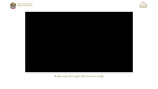 A journey through the human body
 