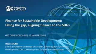 Haje Schütte
Senior Counsellor and Head of Division, Financing for Sustainable
Development, OECD, Development Co-operation Directorate
Finance for Sustainable Development:
Filling the gap, aligning finance to the SDGs
G20 DWG WORKSHOP| 12 JANUARY 2021
 