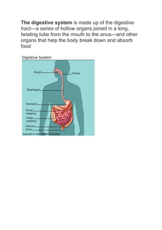 The digestive system is made up of the digestive
tract—a series of hollow organs joined in a long,
twisting tube from the mouth to the anus—and other
organs that help the body break down and absorb
food
 