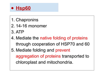 ● Hsp60
1. Chapronins
2. 14-16 monomer
3. ATP
4. Mediate the native folding of proteins
through cooperation of HSP70 and 60
5. Mediate folding and prevent
aggregation of proteins transported to
chloroplast and mitochondria.
 