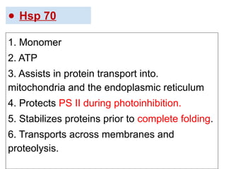 ● Hsp 70
1. Monomer
2. ATP
3. Assists in protein transport into.
mitochondria and the endoplasmic reticulum
4. Protects PS II during photoinhibition.
5. Stabilizes proteins prior to complete folding.
6. Transports across membranes and
proteolysis.
 