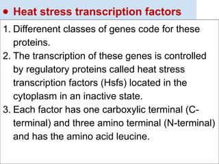 ● Heat stress transcription factors
1. Differenent classes of genes code for these
proteins.
2. The transcription of these genes is controlled
by regulatory proteins called heat stress
transcription factors (Hsfs) located in the
cytoplasm in an inactive state.
3. Each factor has one carboxylic terminal (C-
terminal) and three amino terminal (N-terminal)
and has the amino acid leucine.
 