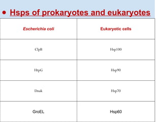 ● Hsps of prokaryotes and eukaryotes
Escherichia coli Eukaryotic cells
ClpB Hsp100
HtpG Hsp90
Dnak Hsp70
GroEL Hsp60
 