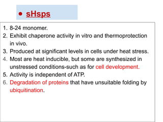 ● sHsps
1. 8-24 monomer.
2. Exhibit chaperone activity in vitro and thermoprotection
in vivo.
3. Produced at significant levels in cells under heat stress.
4. Most are heat inducible, but some are synthesized in
unstressed conditions-such as for cell development.
5. Activity is independent of ATP.
6. Degradation of proteins that have unsuitable folding by
ubiquitination.
 
