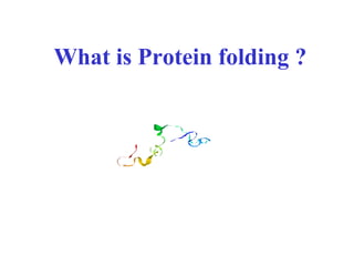 What is Protein folding ?
 