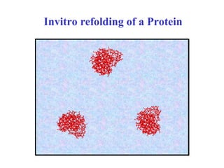Invitro refolding of a Protein
 