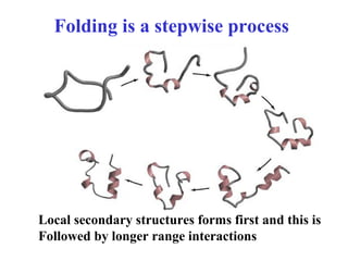 Folding is a stepwise process
Local secondary structures forms first and this is
Followed by longer range interactions
 
