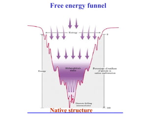 Free energy funnel
Native structure
 
