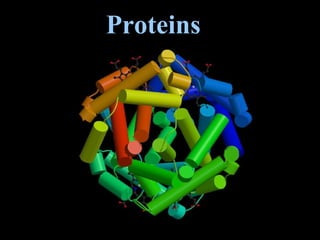 Proteins
 