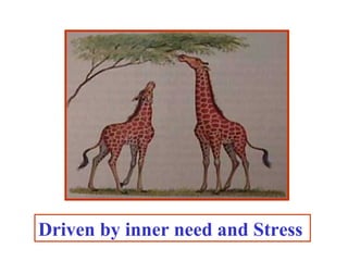 Driven by inner need and Stress
 