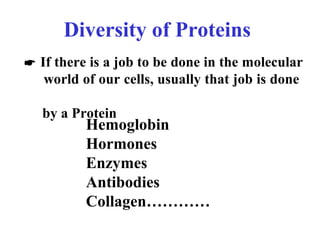 Diversity of Proteins
Hemoglobin
Hormones
Enzymes
Antibodies
Collagen…………
 If there is a job to be done in the molecular
world of our cells, usually that job is done
by a Protein
 