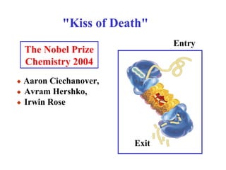 The Nobel Prize
Chemistry 2004
"Kiss of Death"
 Aaron Ciechanover,
 Avram Hershko,
 Irwin Rose
Exit
Entry
 