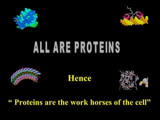 “ Proteins are the work horses of the cell”
Hence
 