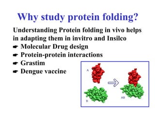 Why study protein folding?
Understanding Protein folding in vivo helps
in adapting them in invitro and Insilco
 Molecular Drug design
 Protein-protein interactions
 Grastim
 Dengue vaccine
 