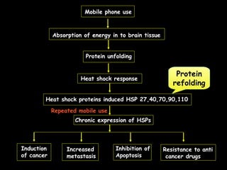 Mobile phone use
Absorption of energy in to brain tissue
Protein unfolding
Heat shock response
Heat shock proteins induced HSP 27,40,70,90,110
Repeated mobile use
Chronic expression of HSPs
Induction
of cancer
Increased
metastasis
Inhibition of
Apoptosis
Resistance to anti
cancer drugs
Protein
refolding
 