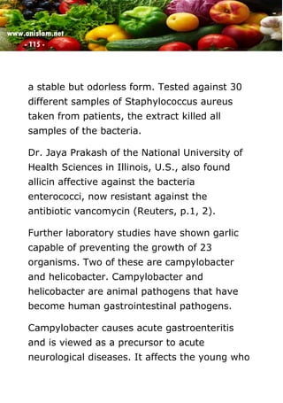 www.onislam.net
- 115 -
a stable but odorless form. Tested against 30
different samples of Staphylococcus aureus
taken from patients, the extract killed all
samples of the bacteria.
Dr. Jaya Prakash of the National University of
Health Sciences in Illinois, U.S., also found
allicin affective against the bacteria
enterococci, now resistant against the
antibiotic vancomycin (Reuters, p.1, 2).
Further laboratory studies have shown garlic
capable of preventing the growth of 23
organisms. Two of these are campylobacter
and helicobacter. Campylobacter and
helicobacter are animal pathogens that have
become human gastrointestinal pathogens.
Campylobacter causes acute gastroenteritis
and is viewed as a precursor to acute
neurological diseases. It affects the young who
 