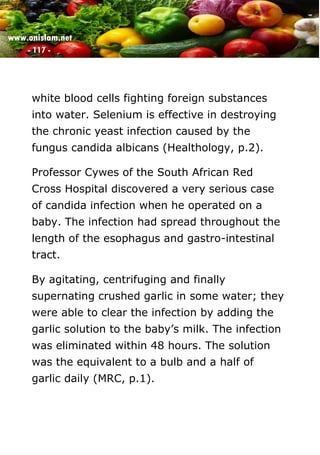 www.onislam.net
- 117 -
white blood cells fighting foreign substances
into water. Selenium is effective in destroying
the chronic yeast infection caused by the
fungus candida albicans (Healthology, p.2).
Professor Cywes of the South African Red
Cross Hospital discovered a very serious case
of candida infection when he operated on a
baby. The infection had spread throughout the
length of the esophagus and gastro-intestinal
tract.
By agitating, centrifuging and finally
supernating crushed garlic in some water; they
were able to clear the infection by adding the
garlic solution to the baby’s milk. The infection
was eliminated within 48 hours. The solution
was the equivalent to a bulb and a half of
garlic daily (MRC, p.1).
 